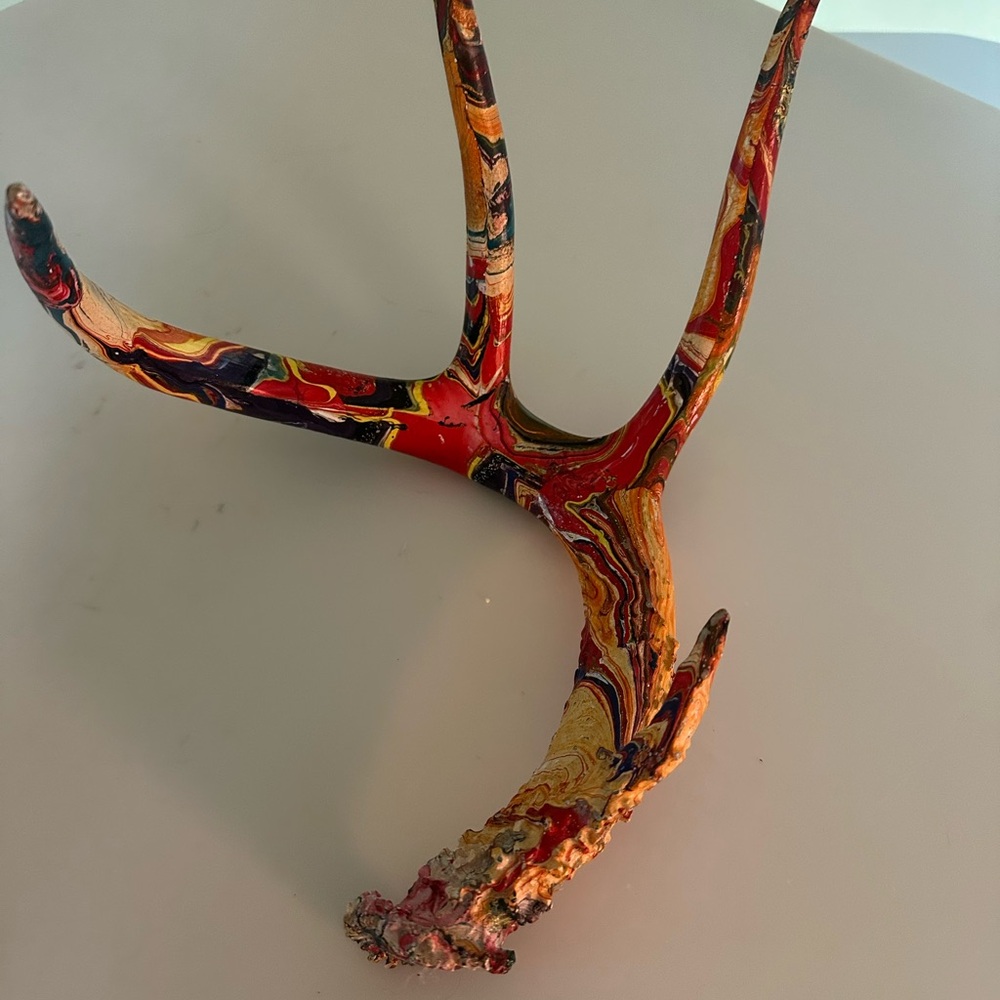 ANTLER. Dip Painted Multicolor Antler Accent - Decorative. Unique. Fun. Fresh.
